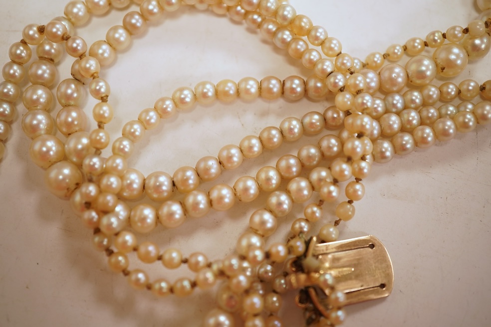 Two necklaces, comprising: a three-strand cultured pearl necklace, to a cabochon garnet and diamond clasp, length 34cm; and a paste and gilt metal pendant on a gold chain, chain length 44cm, stamped 14K, gross weight of